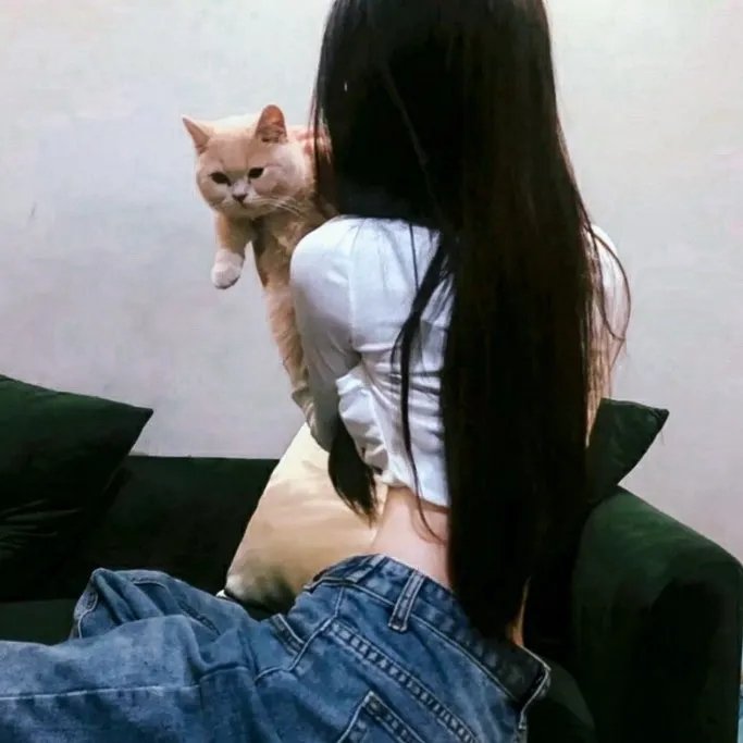 迷失的心